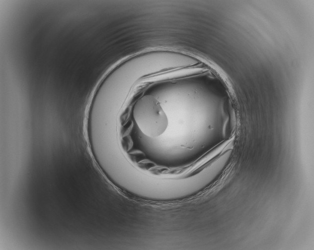 X0000102540807200809051531