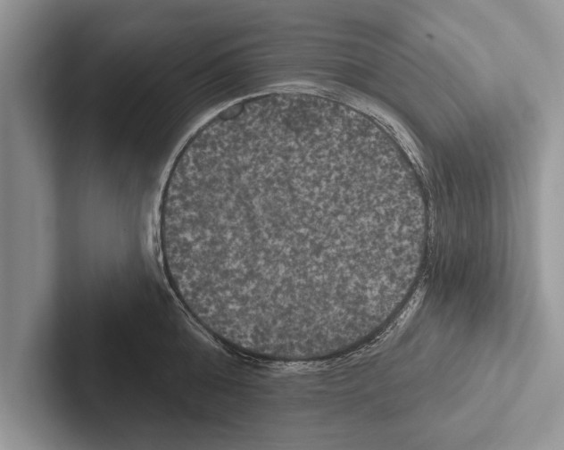 X0000102540808200809051531