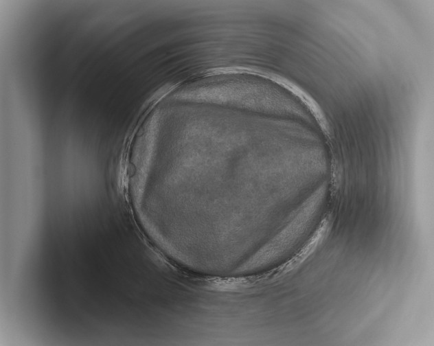 X0000102540809200809051531