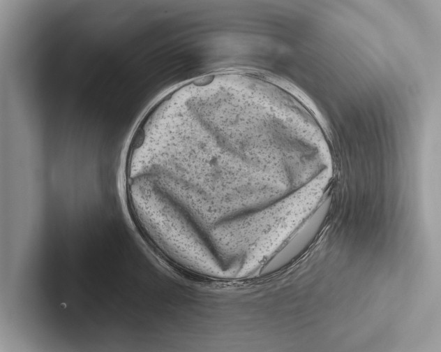 X0000102540811200809051531