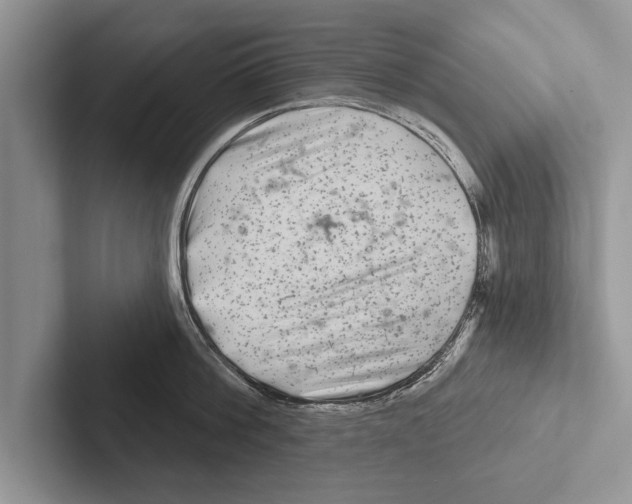 X0000102540812200809051531