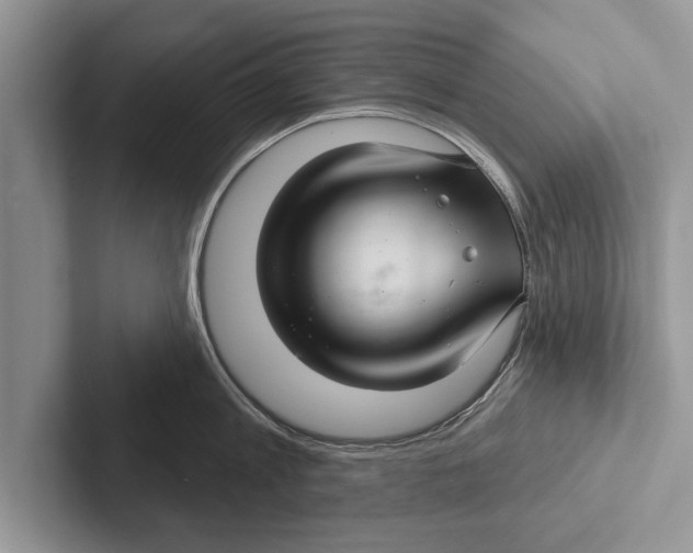 X0000102540813200809051531