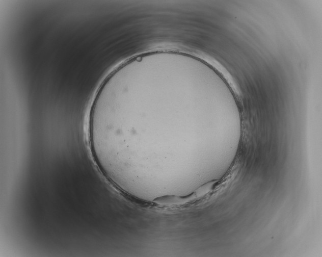 X0000102540815200809051531