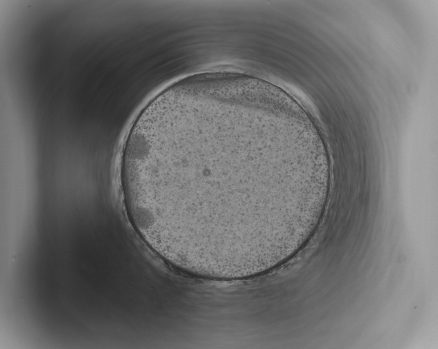 X0000102540816200809051531