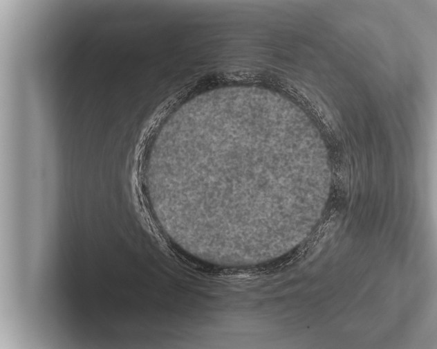 X0000102540817200809051531