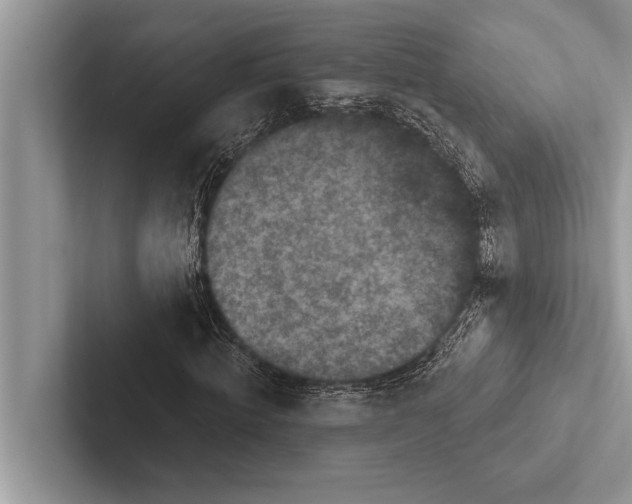 X0000102540820200809051531