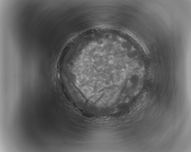 X0000102540823200809051531