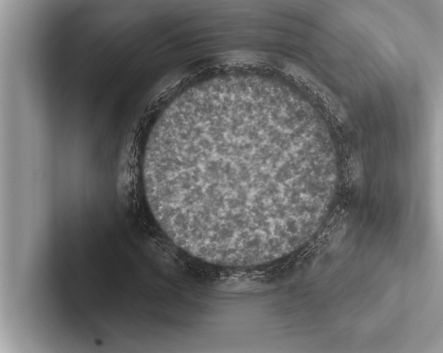 X0000102540824200809051531
