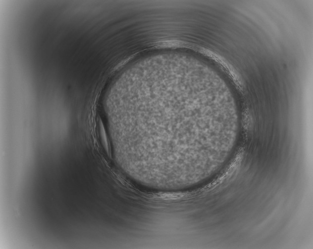 X0000102540825200809051531