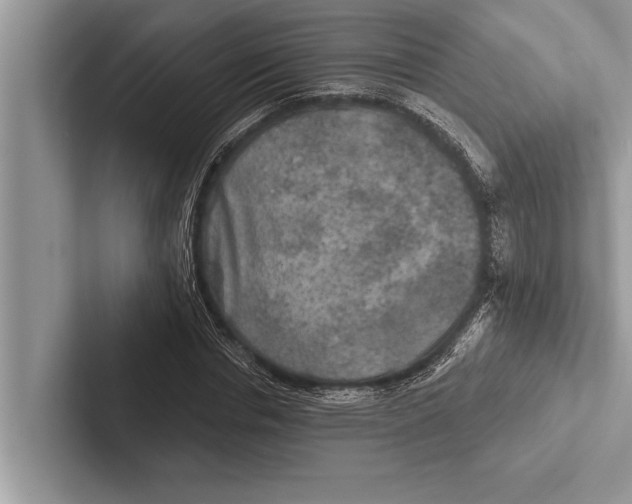 X0000102540826200809051531