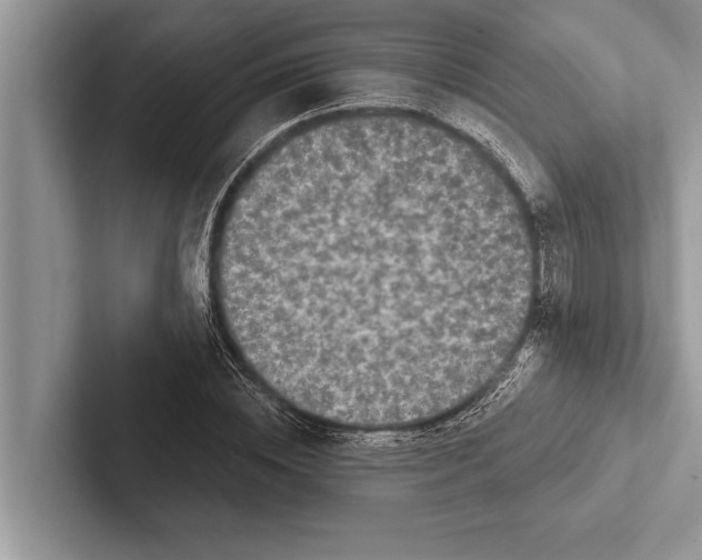 X0000102540828200809051531