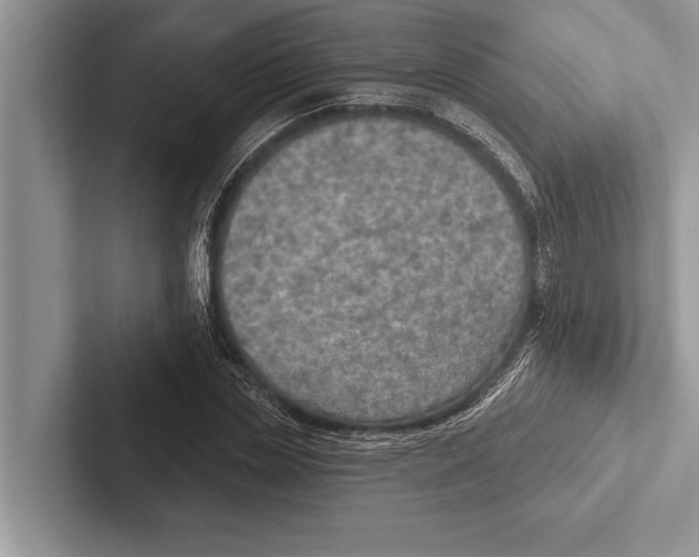 X0000102540829200809051531