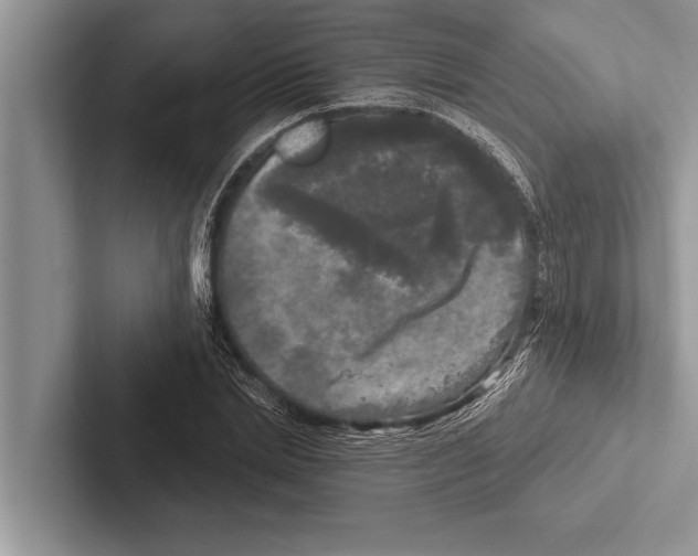 X0000102540830200809051531
