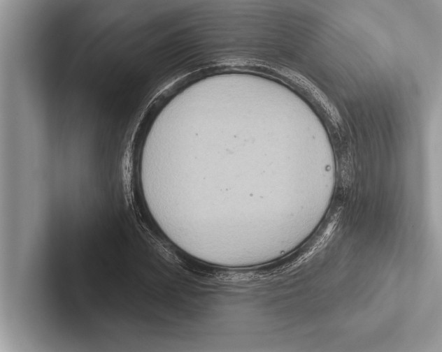 X0000102540831200809051531