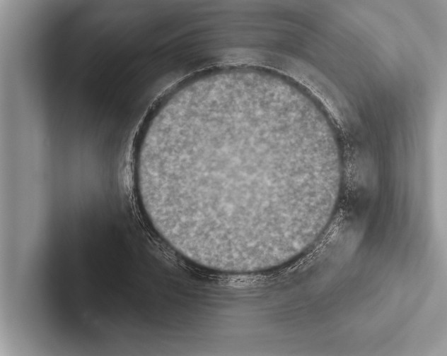 X0000102540832200809051531
