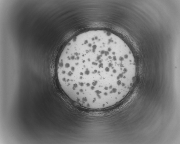 X0000102540833200809051531