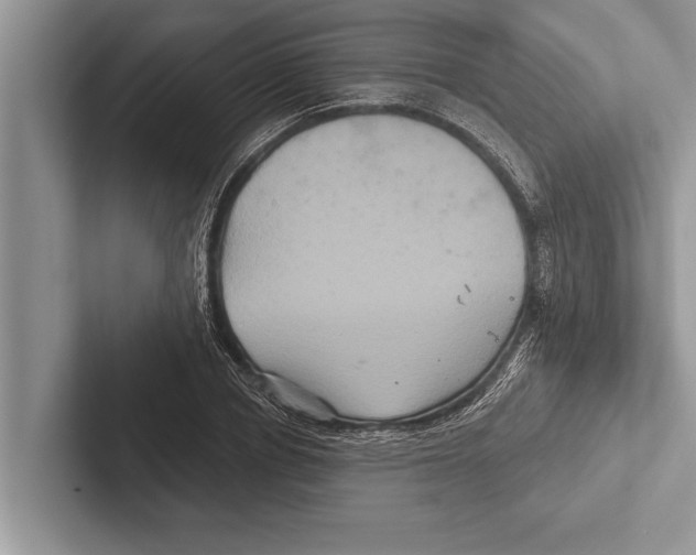 X0000102540834200809051531