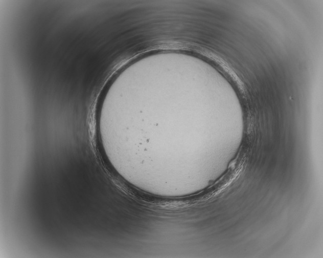 X0000102540837200809051531