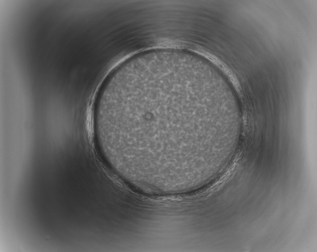 X0000102540838200809051531
