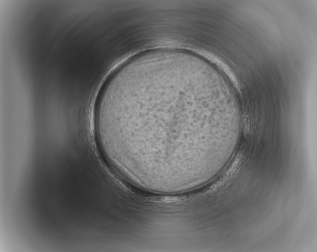X0000102540839200809051531