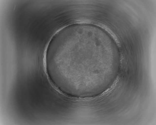 X0000102540840200809051531