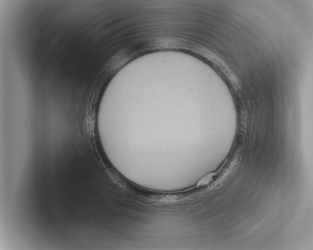 X0000102540841200809051531
