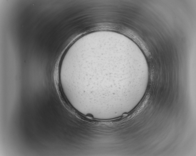 X0000102540844200809051531