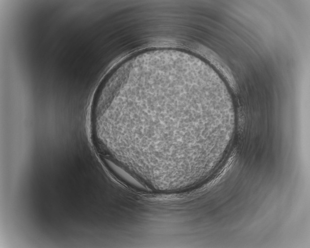 X0000102540845200809051531