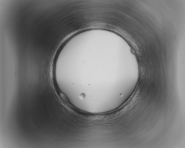 X0000102540846200809051531