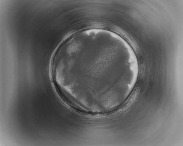 X0000102540851200809051531