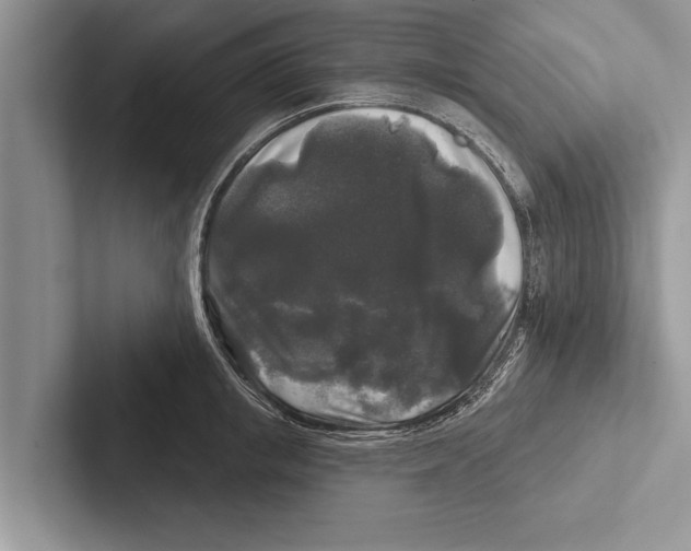 X0000102540853200809051531