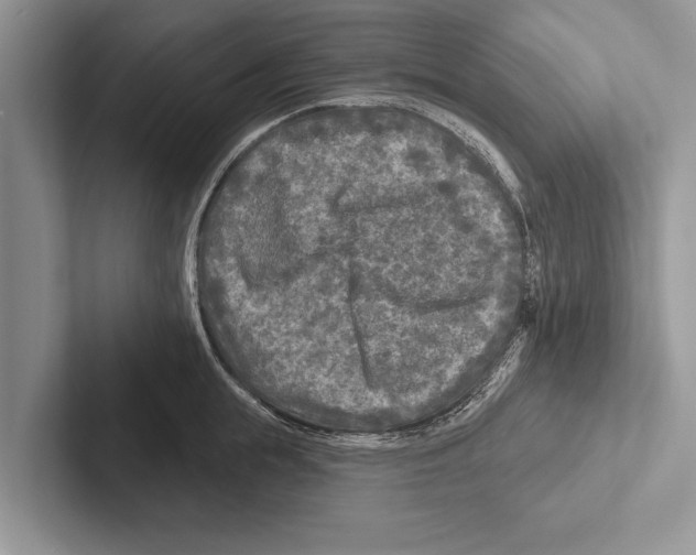 X0000102540855200809051531