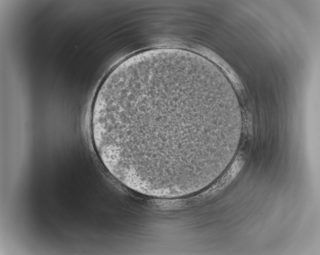 X0000102540856200809051531
