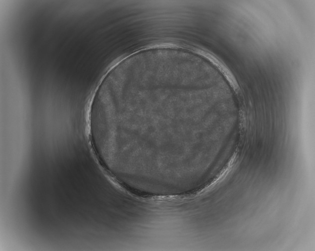 X0000102540858200809051531
