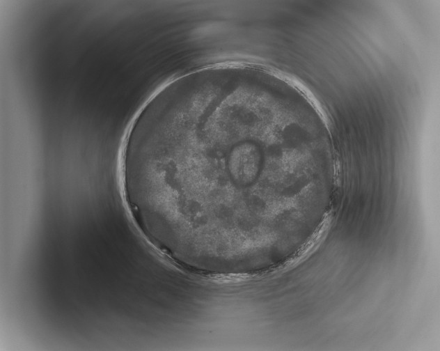 X0000102540859200809051531