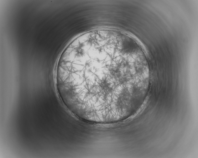 X0000102540860200809051531
