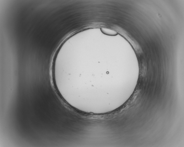 X0000102540861200809051531
