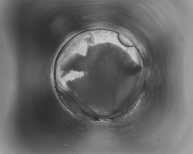 X0000102540863200809051531
