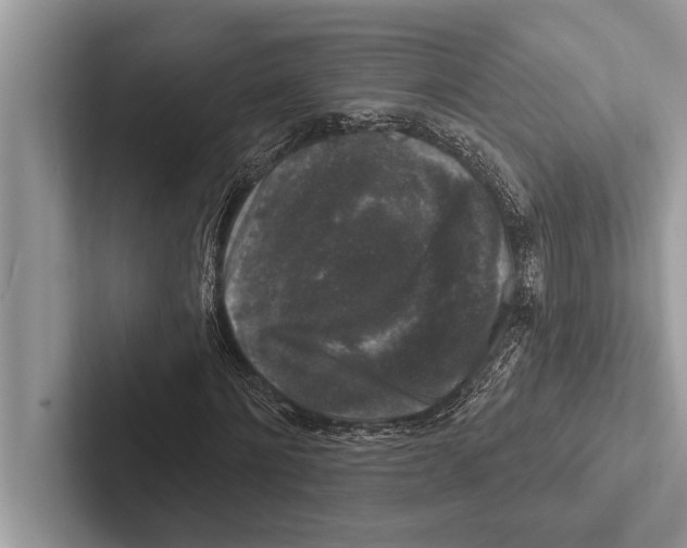 X0000102540868200809051531