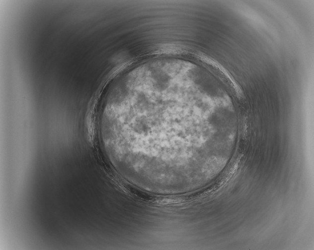 X0000102540874200809051530