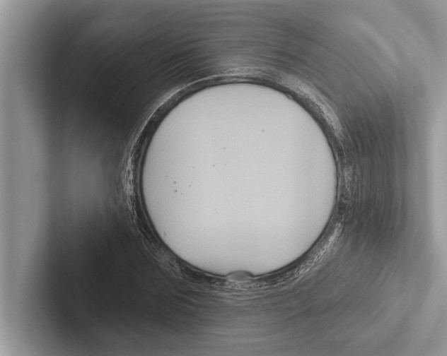 X0000102540875200809051530