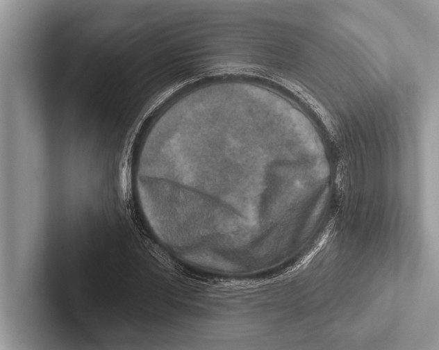 X0000102540877200809051530