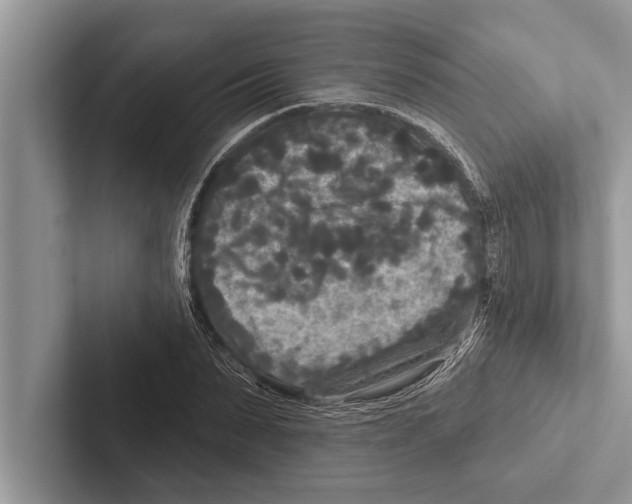 X0000102540879200809051530