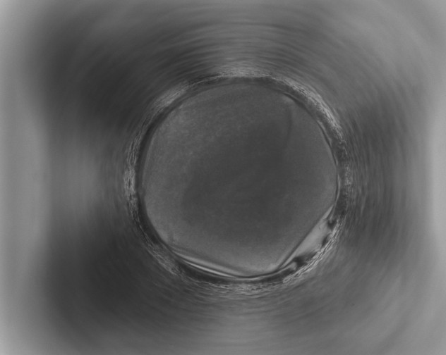 X0000102540881200809051530