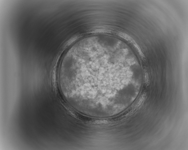 X0000102540882200809051530