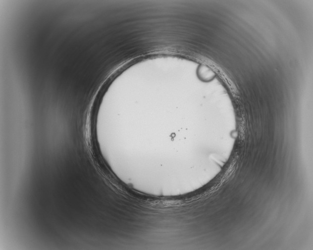 X0000102540884200809051530