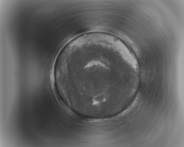 X0000102540892200809051530