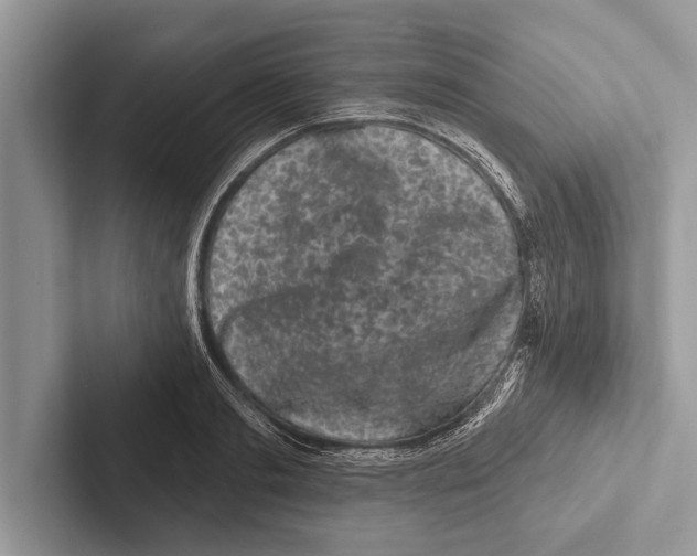 X0000102540893200809051530