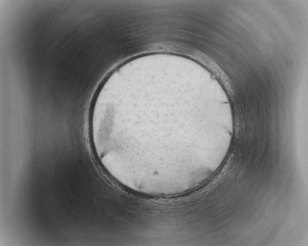 X0000102540896200809051530