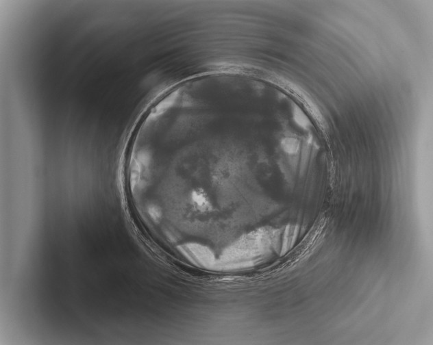 X0000102540899200809051530